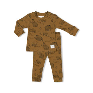 pyjama van feetje